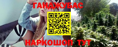 индика Лесосибирск