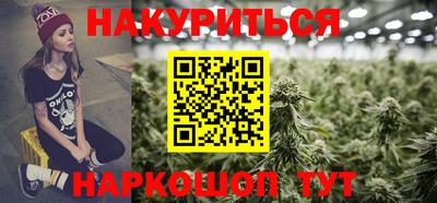 индика Лесосибирск