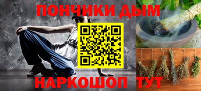 индика Лесосибирск