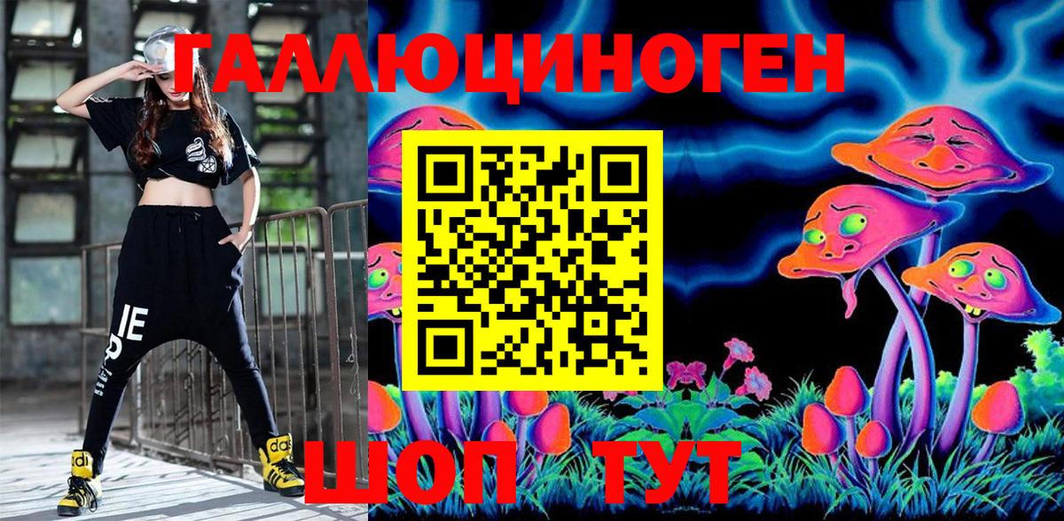 Горячий Ключ  Галлюциногенные грибы прущие грибы  Вход с VPN 